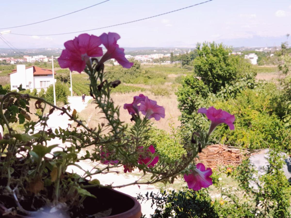 Delia Apartment Medjugorje Luaran gambar